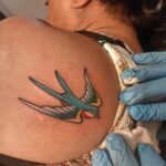 WhatsApp Image 2025-09-22 at 15.46.47_e8b4636b