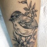 bird